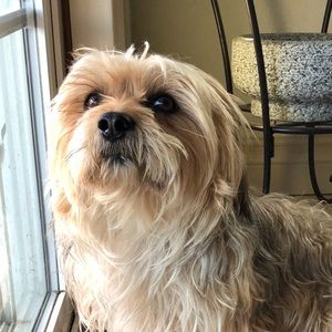 Meet your Posher, Kevin